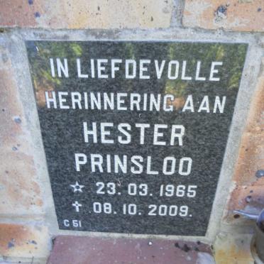 PRINSLOO Hester 1965-2009