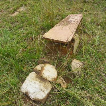 TOIT Andries Stephanus, du 1874-1910