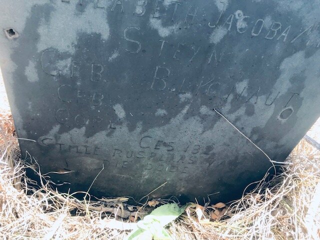 STEYN Elizabeth Jacoba nee BLIGNAUT