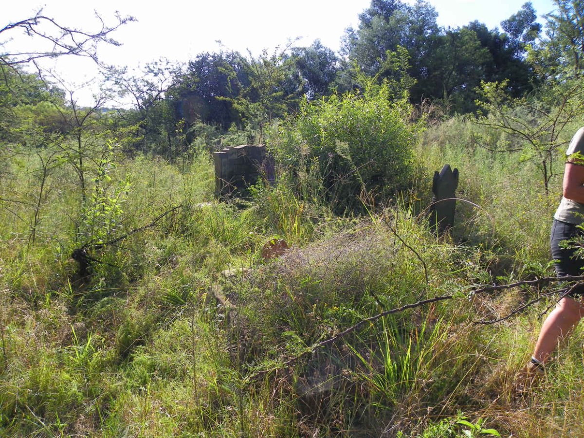 1. Overview / Oorsig