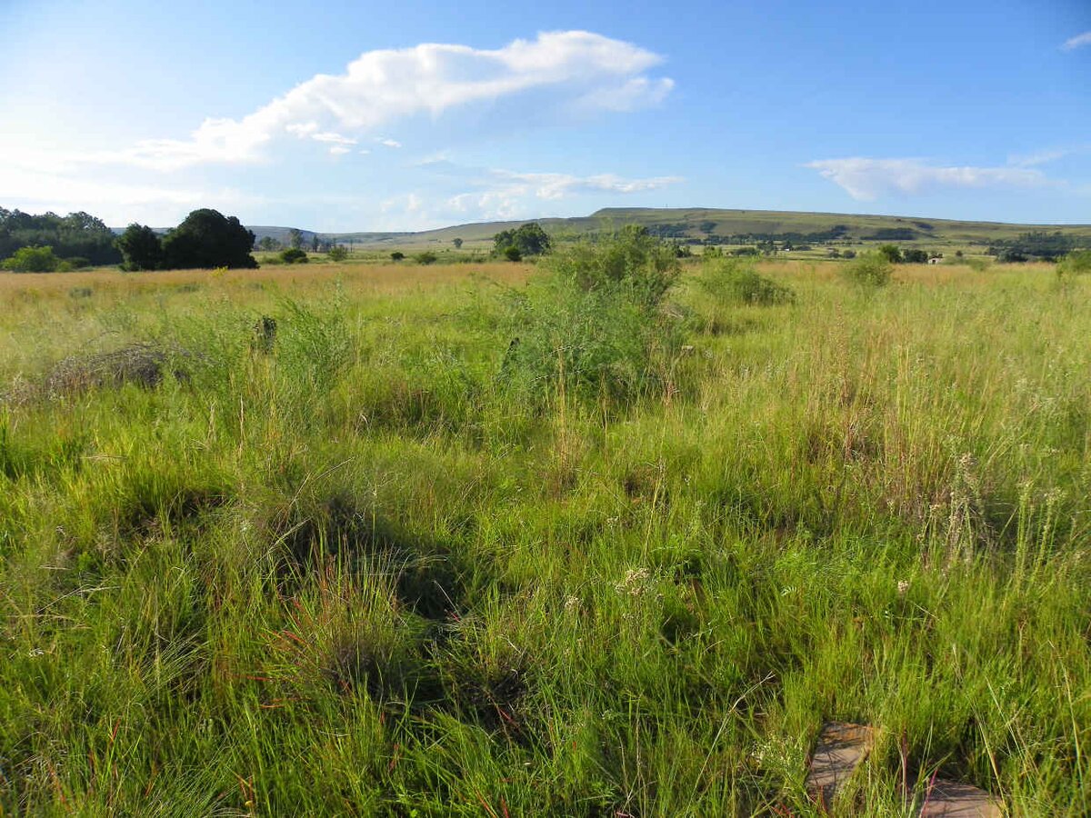 1. Overview / Oorsig