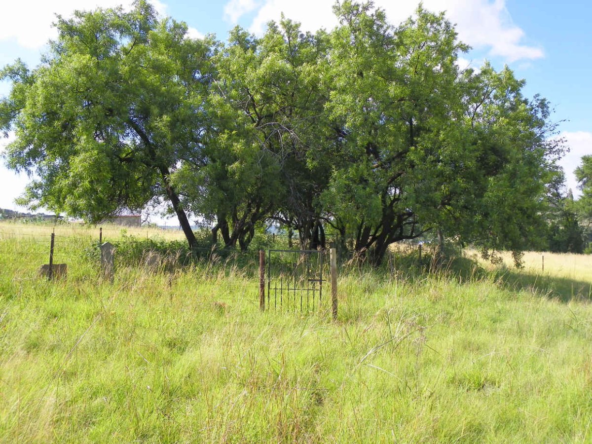 1. Overview / Oorsig