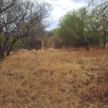 5. Oorsig / Overview