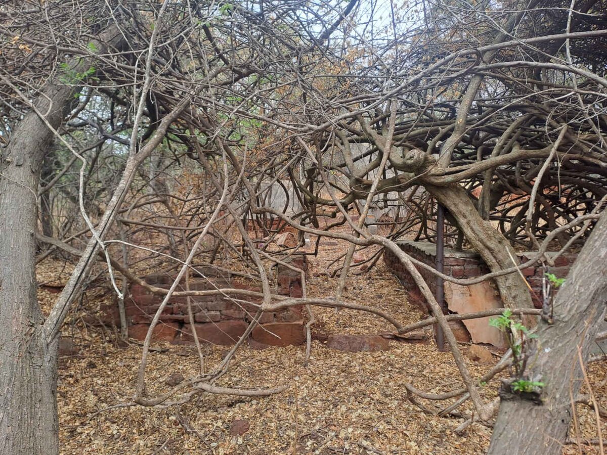 3. Overview / Oorsig