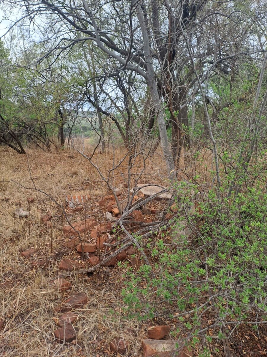 4. Overview / Oorsig