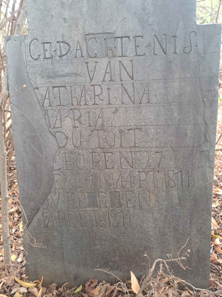 TOIT Catharina Maria, du 1871-1871