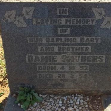 SNYDERS Danie 1953-1954