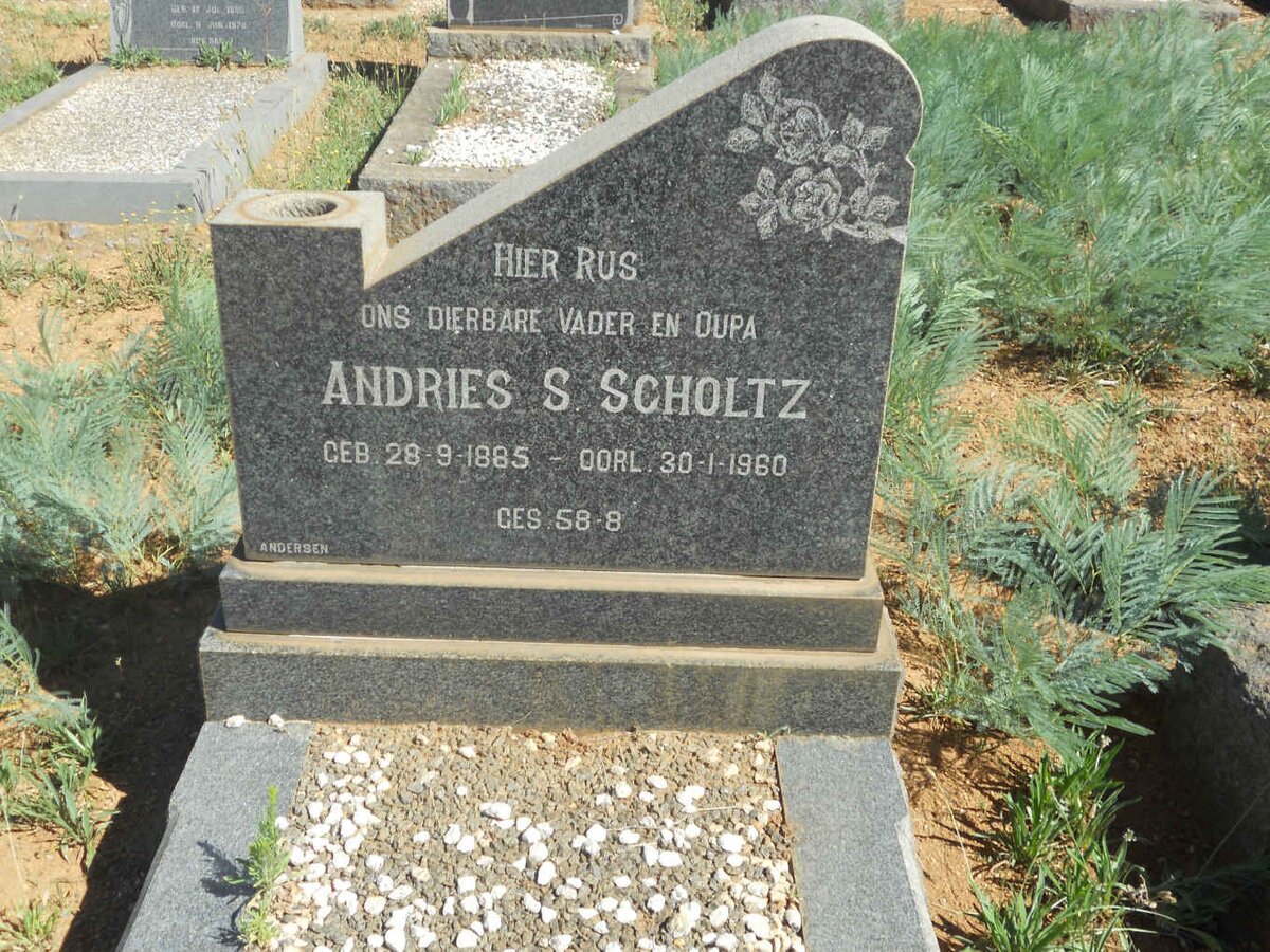 SCHOLTZ Andries S. 1885-1960