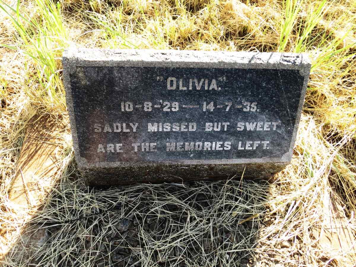 ? Olivia 1929-1935