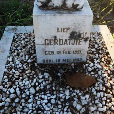 ? Gerdatjie 1951-1952