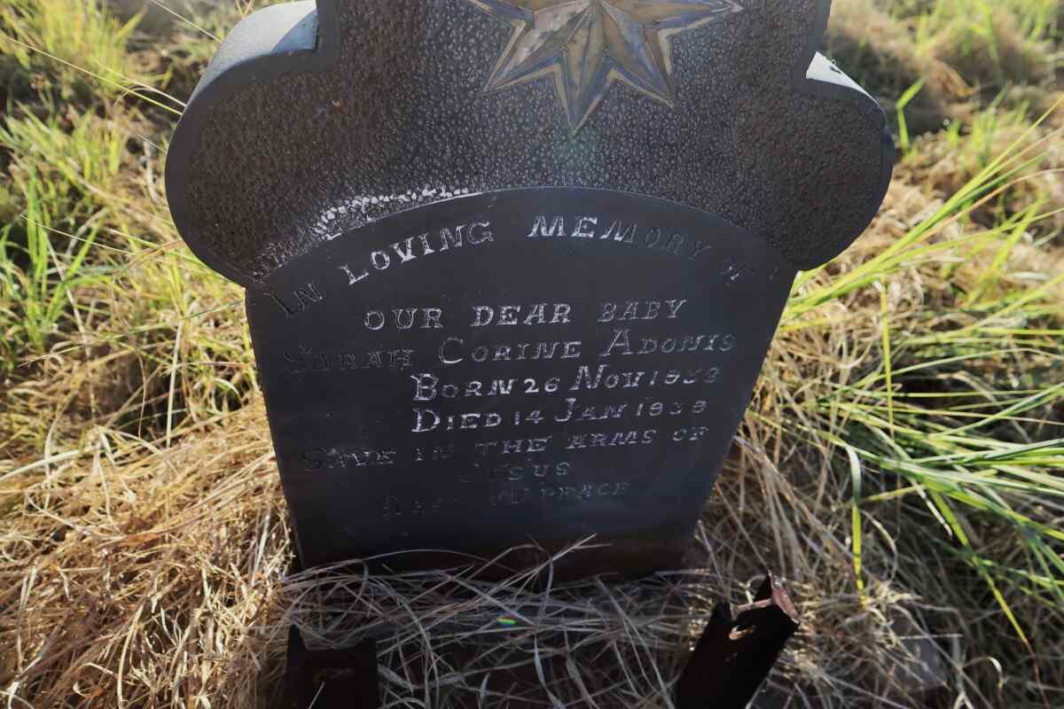 ADONIS Sarah Corine 1938-1939