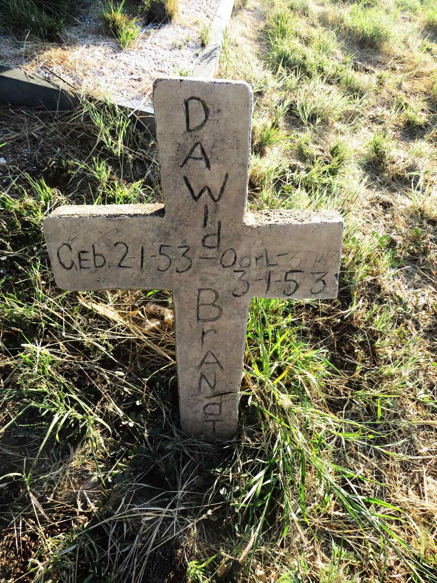 BRANDT Dawid 1953-1953 