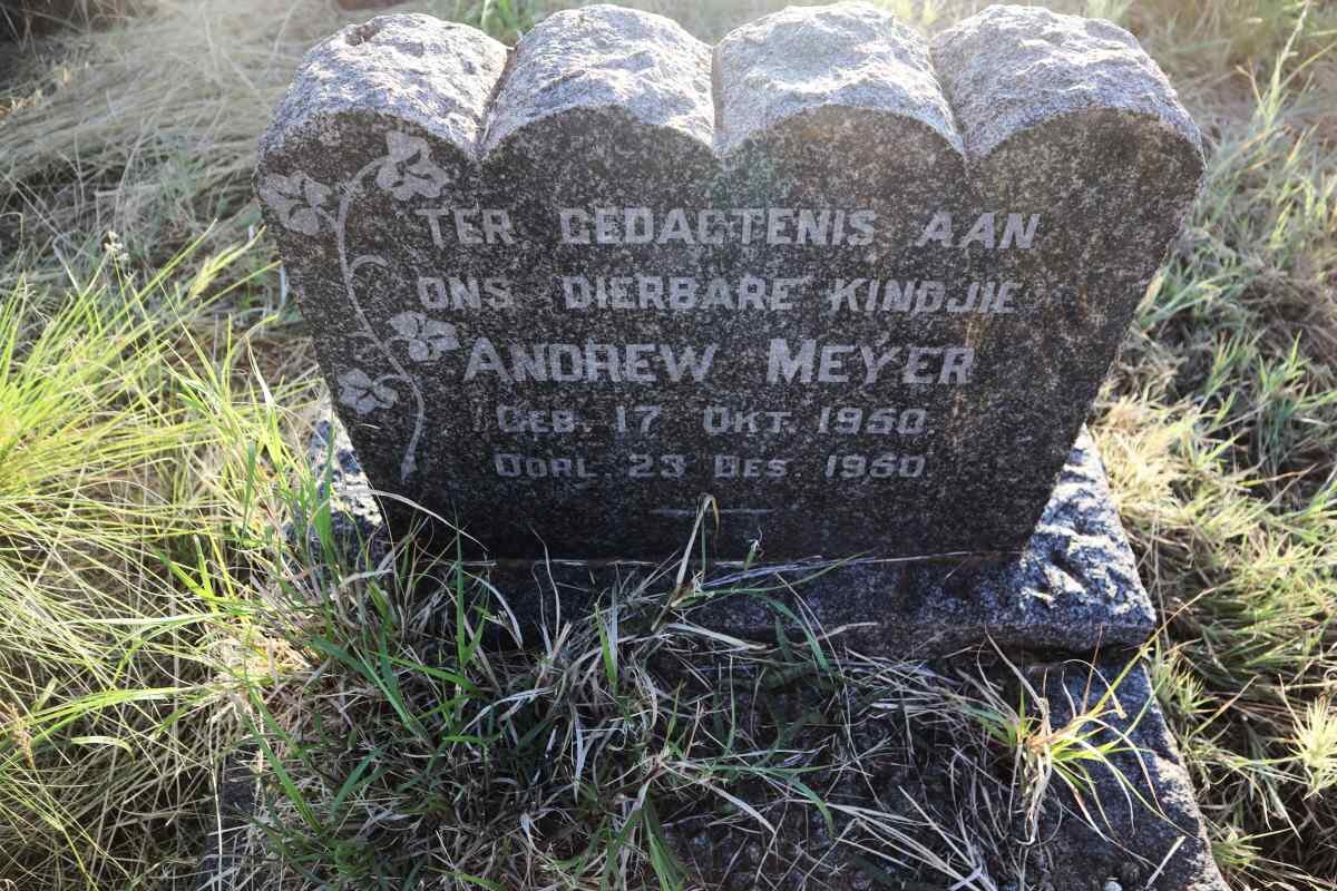 MEYER Andrew 1950-1950