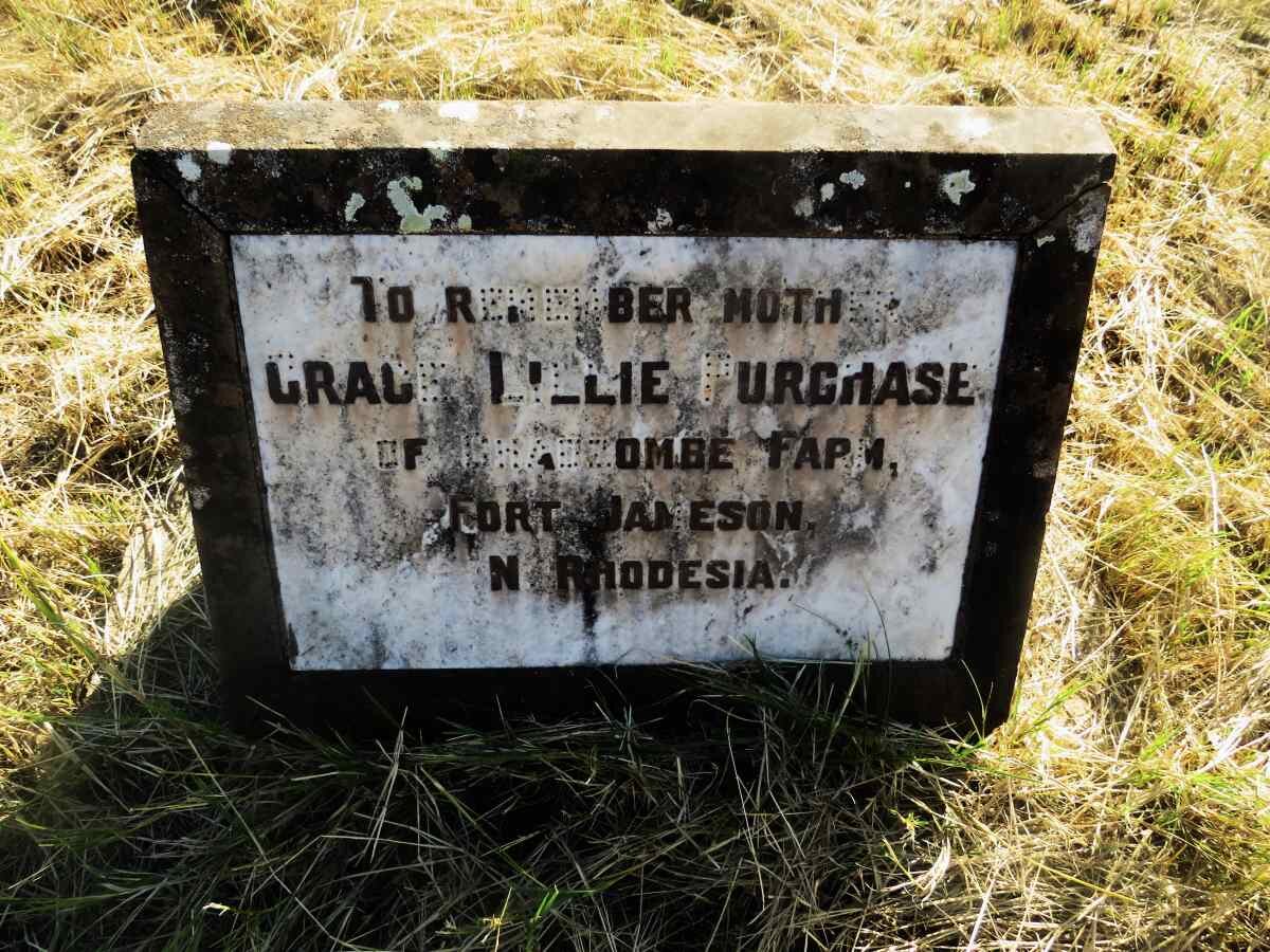 PURCHASE Grace Lillie 