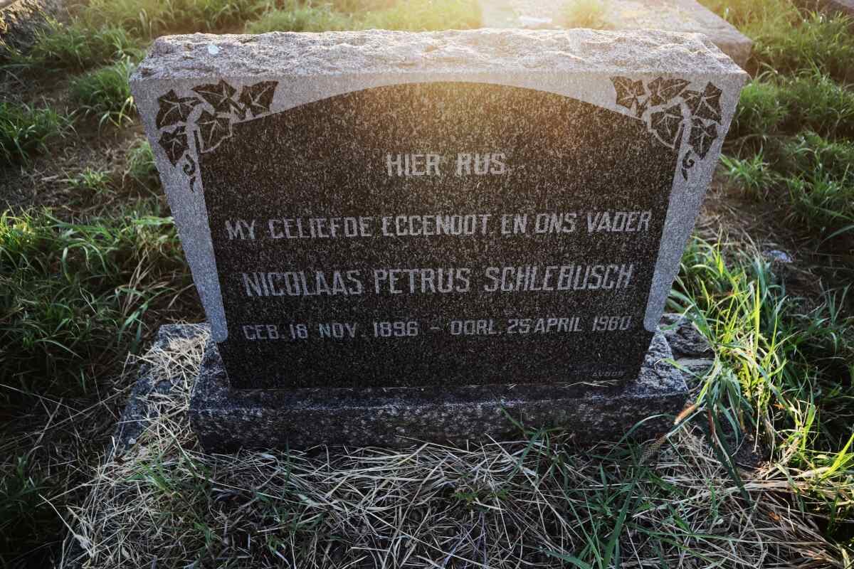 SCHLEBUSCH Nicolaas Petrus 1896-1960