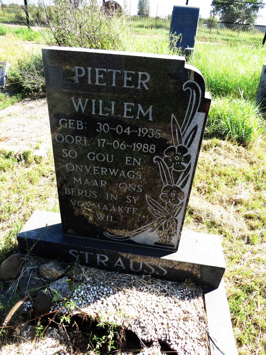 STRAUSS Pieter Willem 1935-1988