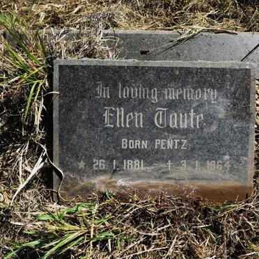 TAUTE Ellen nee PENTZ 1881-1964