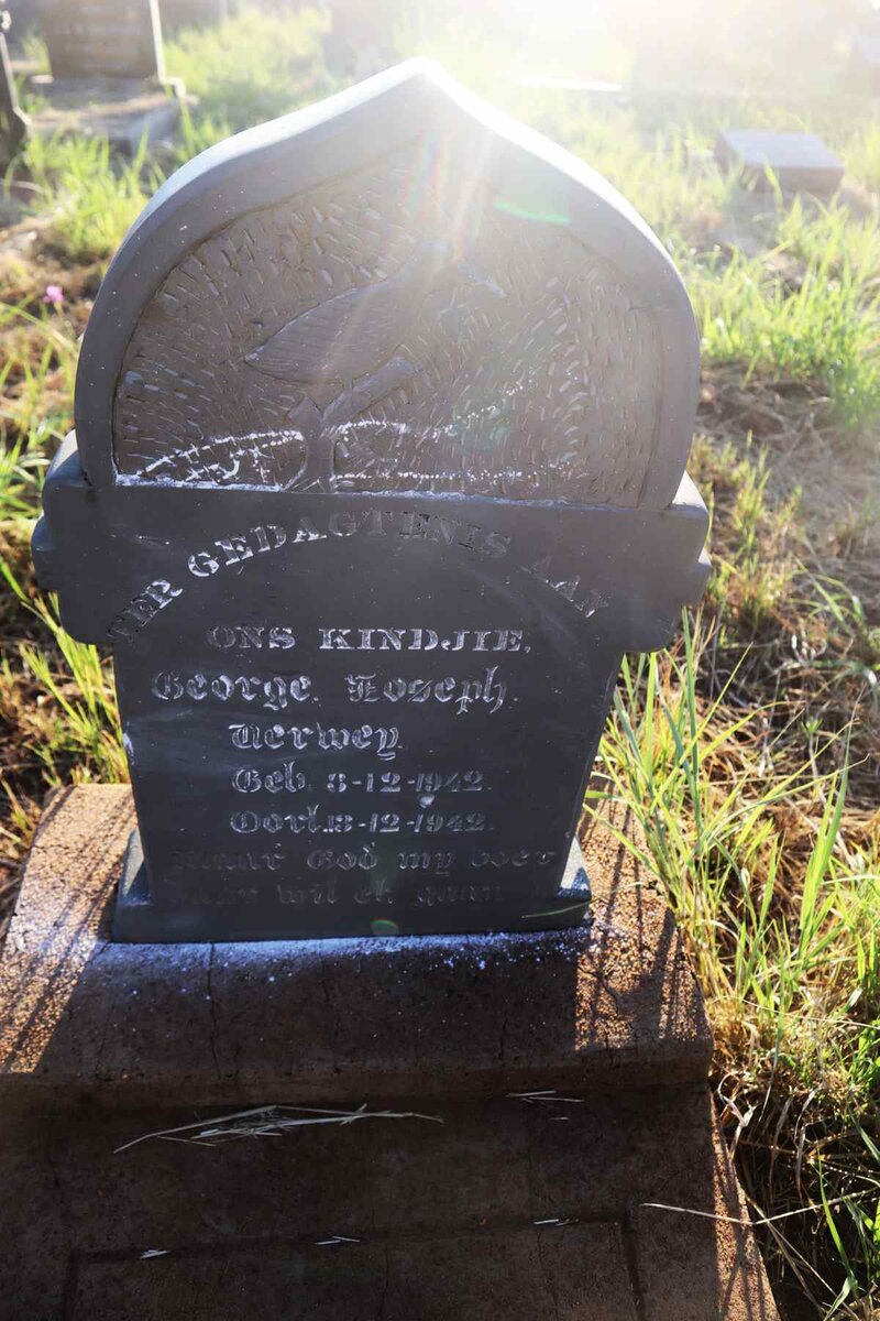 VERWEY George Joseph 1942-1942