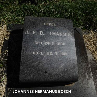 VOSLOO Johannes Hermanus Bosch 1909-1981 