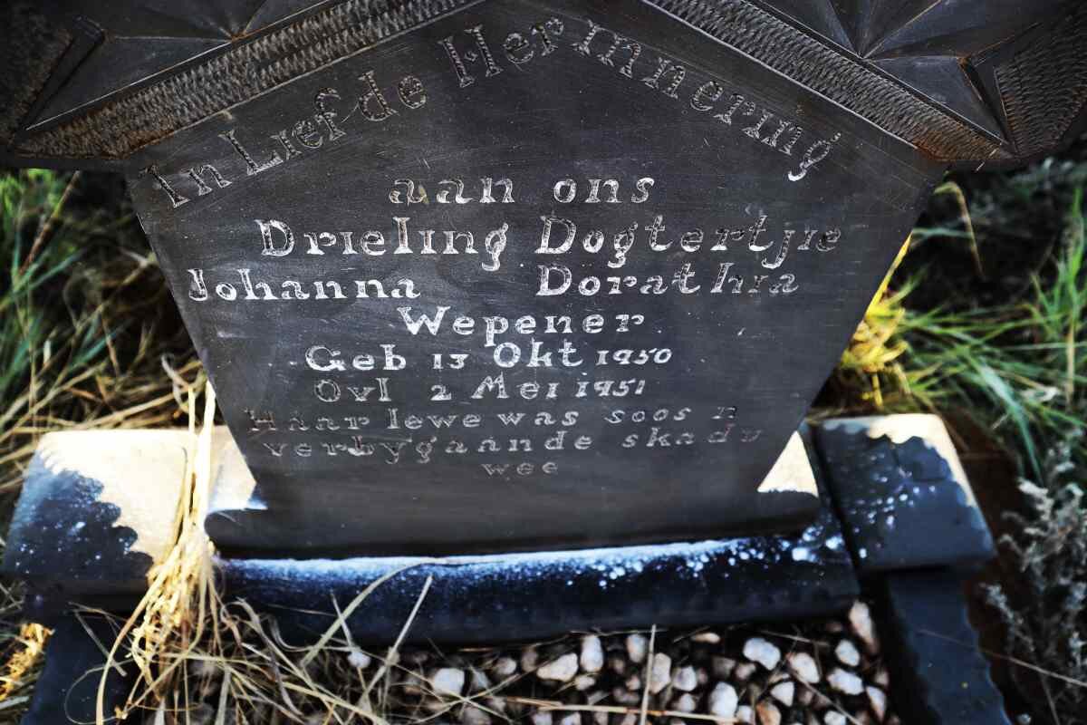 WEPENER Johanna Dorathia 1950-1951