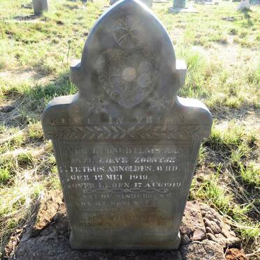 WIID Petrus Arnoldus 1919-1919