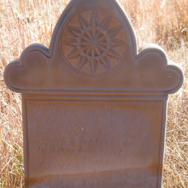 SCHOLTZ David Herculaas 1894-1947