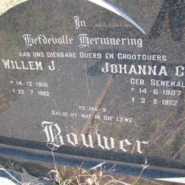 North West, VENTERSDORP district, Leeuwfontein 350 IP, Leeufontein farm cemetery