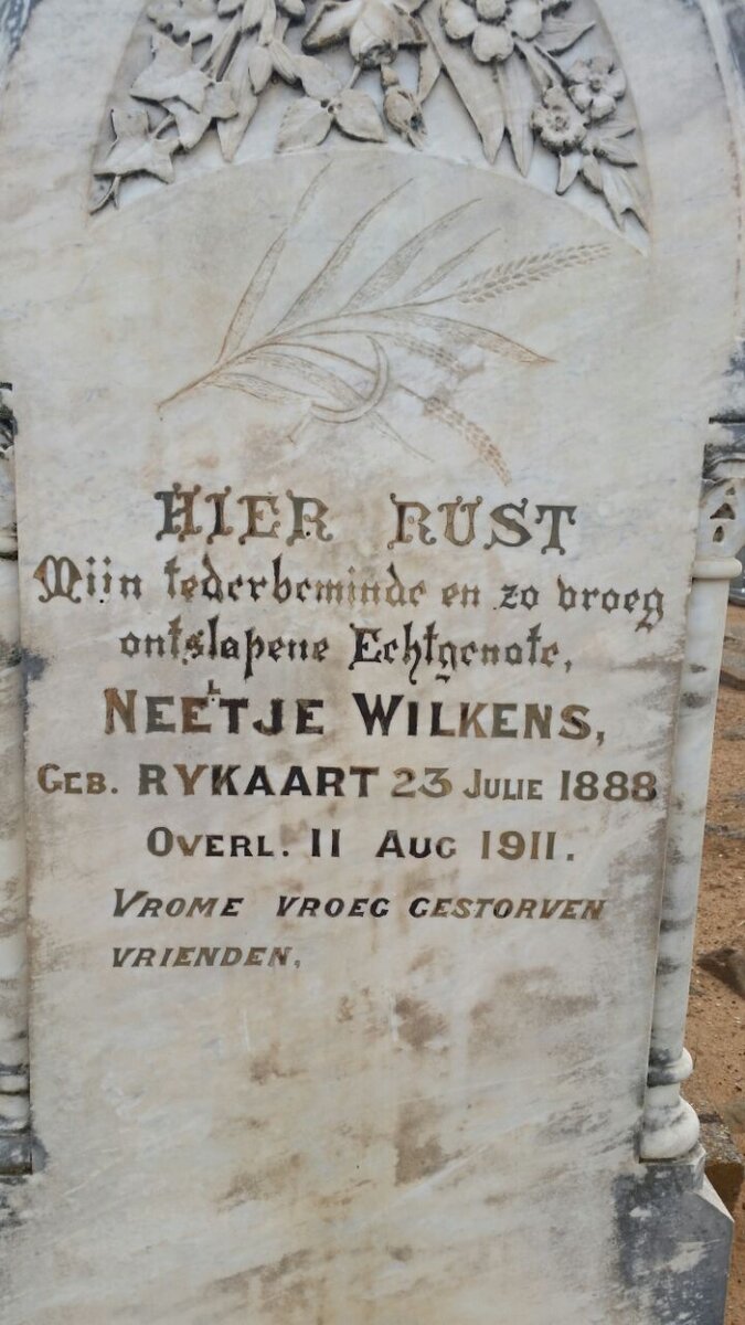 WILKENS Neetje nee RYKAART 1888-1911