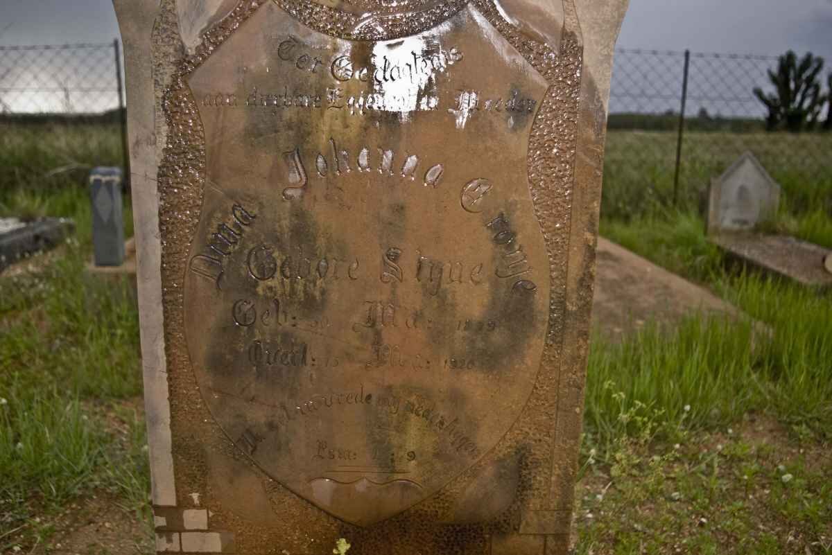 CRONJE Dina Johanna nee STYNE 1879-1920