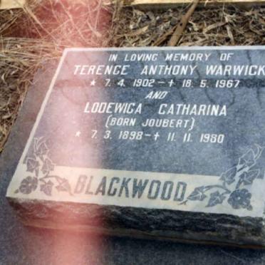 North West, VRYBURG district, Vlakfontein, farm cemetery