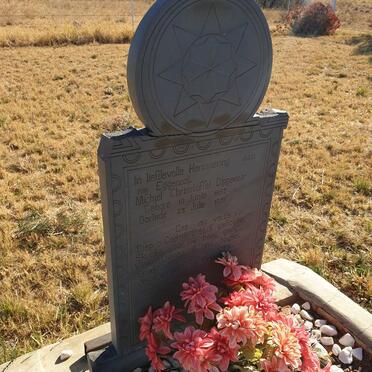 DIPPENAAR Michiel Chrisstoffel 1853-1931