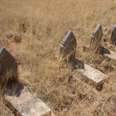 2. Overview / Oorsig