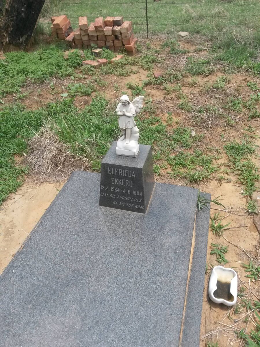 EKKERD Elfrieda 1964-1964