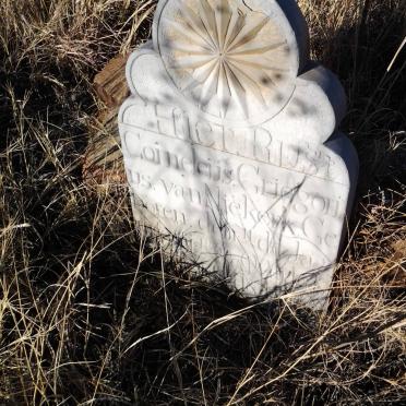 North West, WOLMARANSSTAD district, Goedgedacht 197, farm cemetery_01