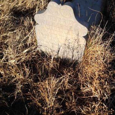 North West, WOLMARANSSTAD district, Syfergat 204_01, farm cemetery