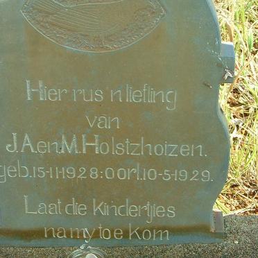 HOLSTZHOIZEN 1928-1929