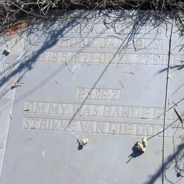 JONKER Adolf Jakobus 1873-1956