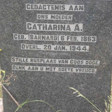 AARDE Catharina A., van nee BARNARD 1863-1944