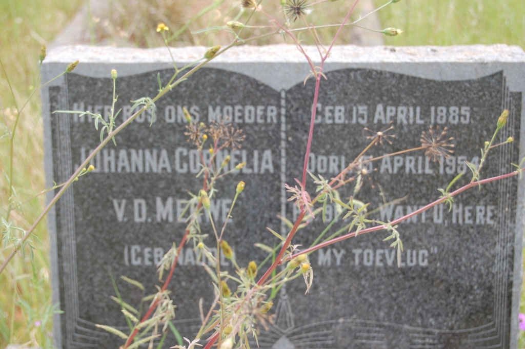 MERWE Johanna Cornelia, v.d. nee NAUDE 1885-1954