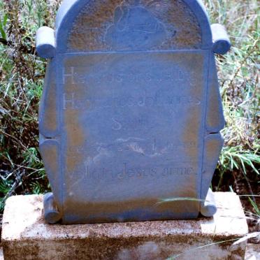 S - Surnames :: Vanne - S