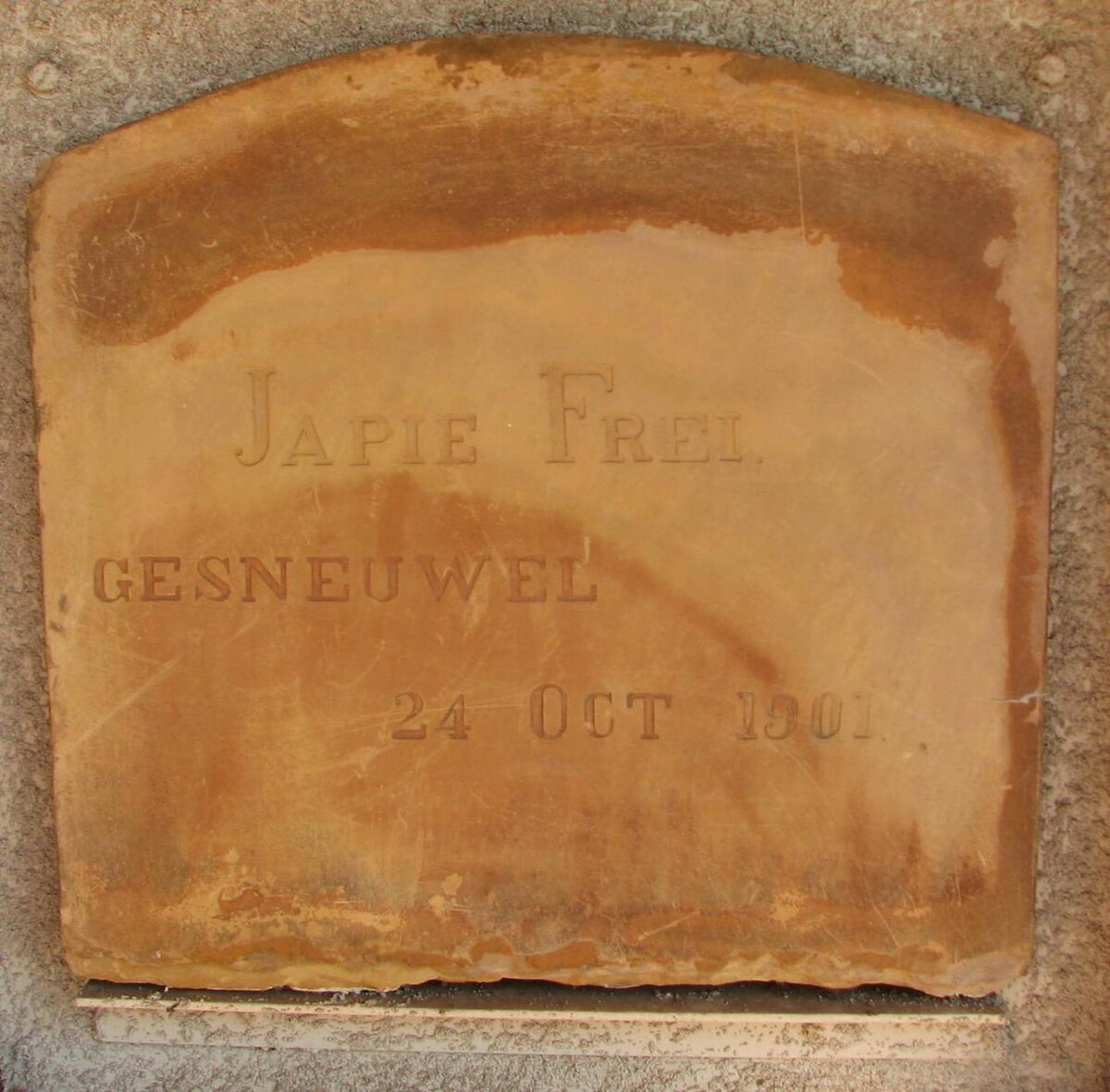 FREI Japie -1901