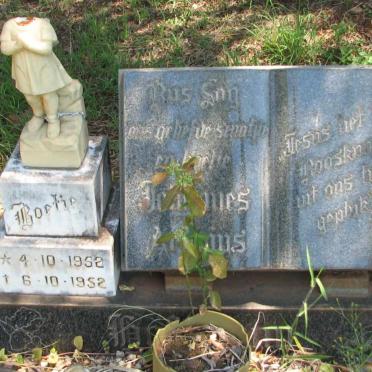 ? Johannes ? 1952-1952