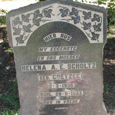 SCHOLTZ Helena A.E. nee COETZEE 1900-1953