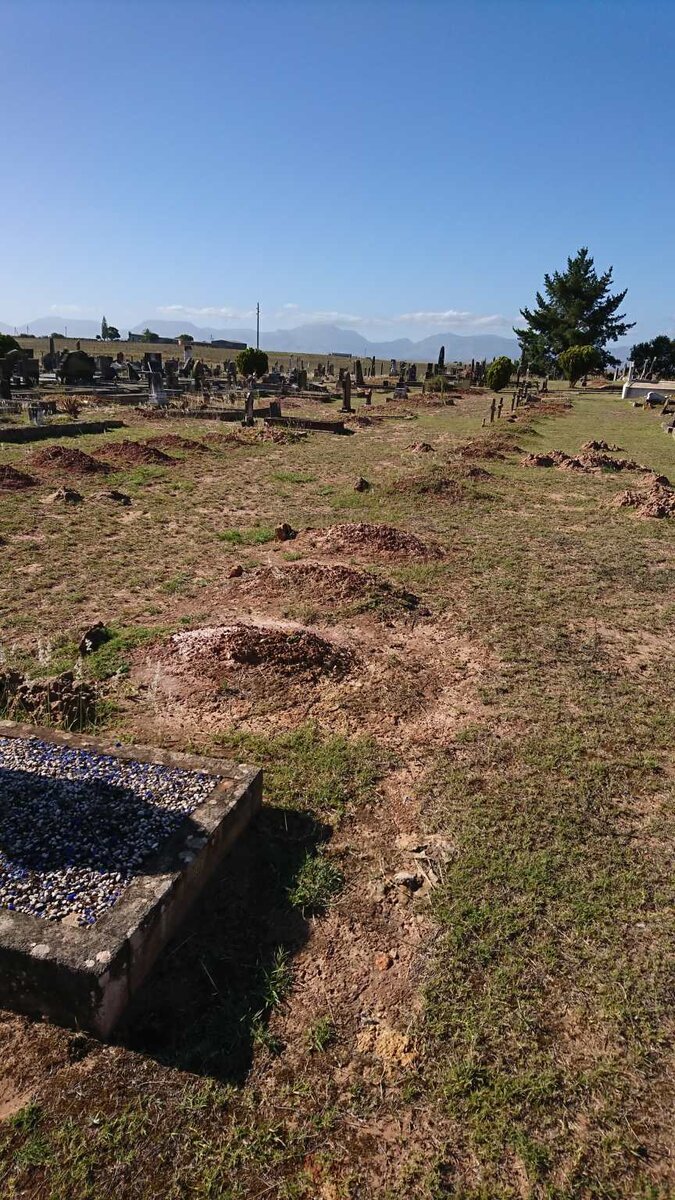 6. Overview / Oorsig