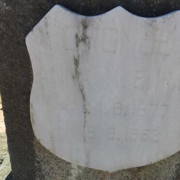 CRONJE Anna M.F. 1877-1952