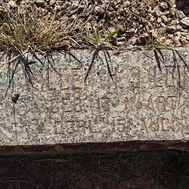 LOUWRENS Willem  H.J. 1871-1953