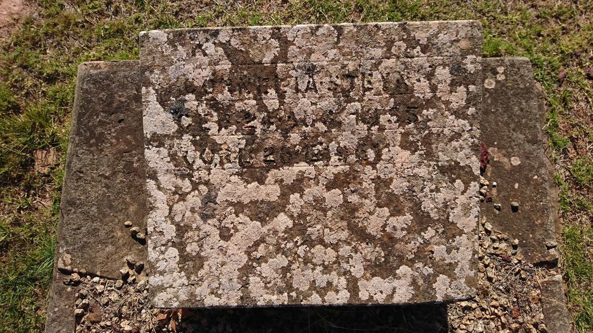 STEYN Cornelia 19?5-1961