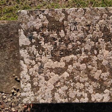 STEYN Cornelia 19?5-1961