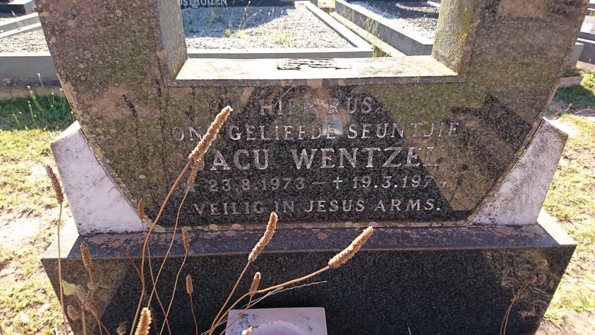 WENTZEL Jacu 1973-1974