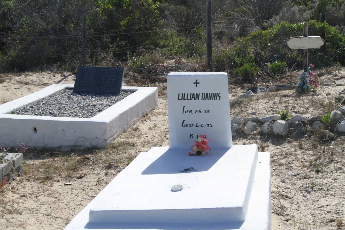 DAVIDS Lillian 1978-1995